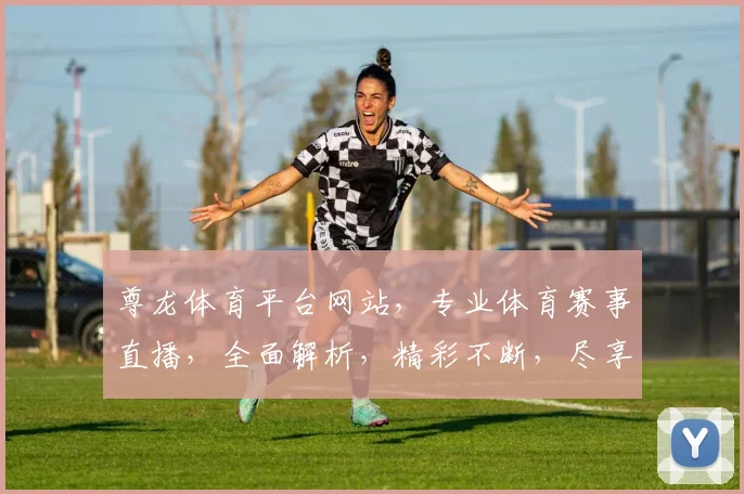 尊龙体育平台网站，专业体育赛事直播，全面解析，精彩不断，尽享赛事乐趣，值得信赖