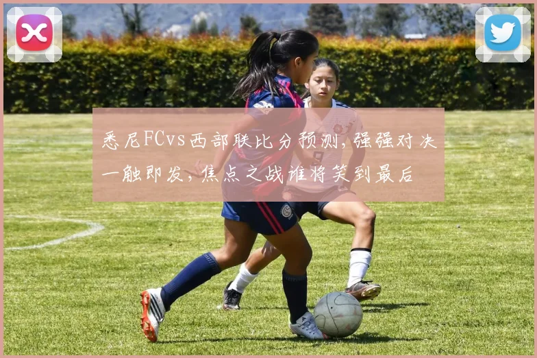 悉尼FCvs西部联比分预测,强强对决一触即发,焦点之战谁将笑到最后