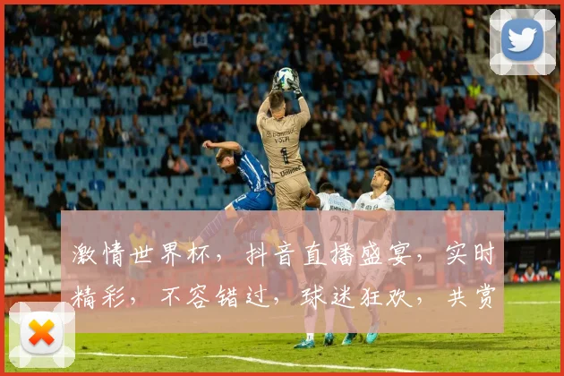 激情世界杯，抖音直播盛宴，实时精彩，不容错过，球迷狂欢，共赏绿茵荣耀，2C2D，直播不止